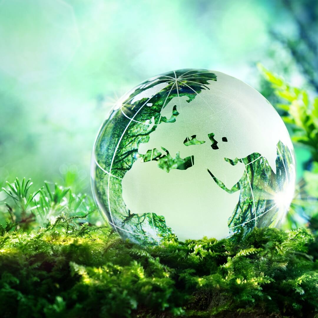 Nachhaltigkeit Glas-Weltkugel im Grünen